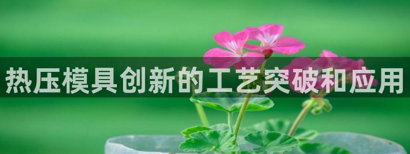 北京易倍思教育怎么样
