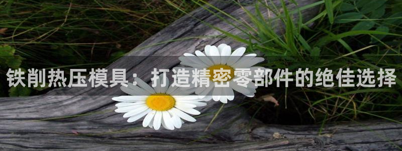 易倍纤酵素效果好吗