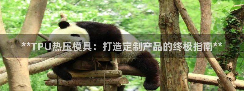 易倍电竞安装教程