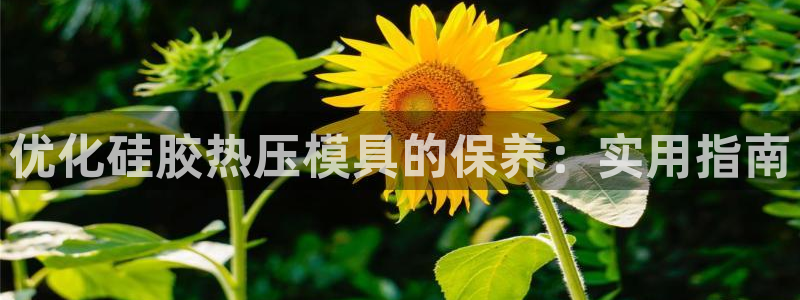易倍思教育