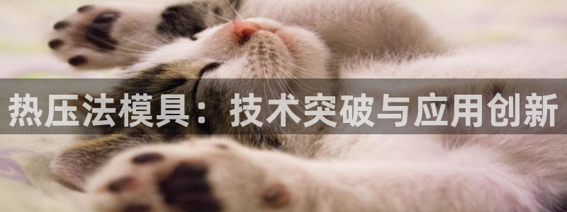 emc易倍首存500送球衣