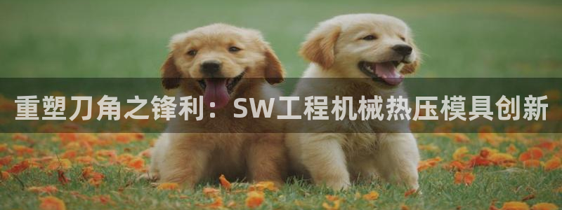 北京易倍思教育科技有限公司