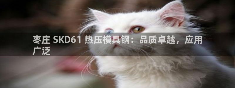 易倍纤价格