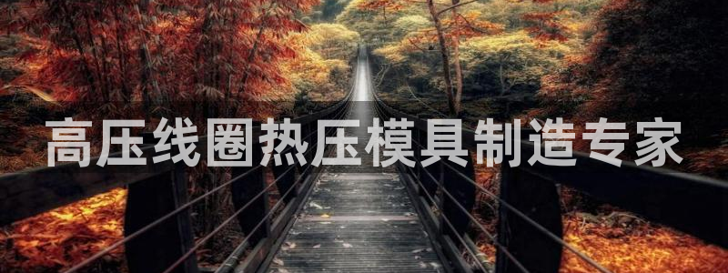 易倍网络技术有限公司怎么样