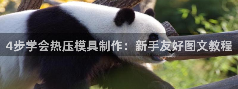 emc全站app下载
