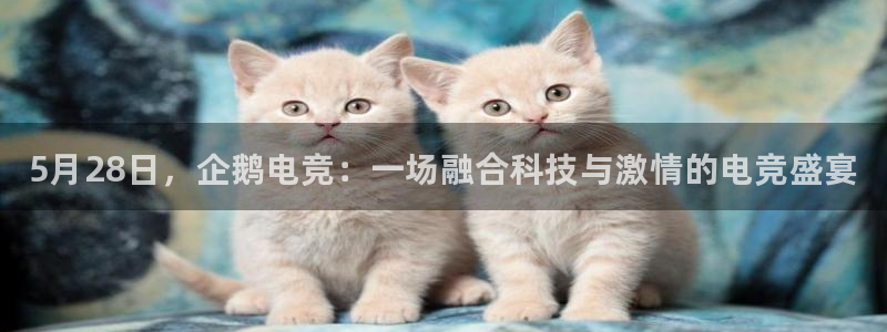完美电竞app：5月28日，企鹅电竞：一场融合科技与激情的电竞盛宴