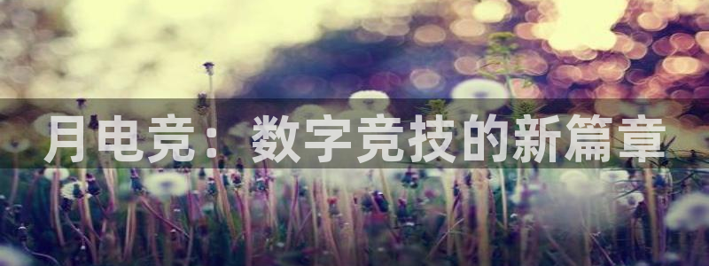 完美电竞绑定steam：月电竞：数字竞技的新篇章