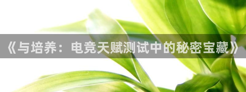 完美电竞开箱：《与培养：电竞天赋测试中的秘密宝藏》