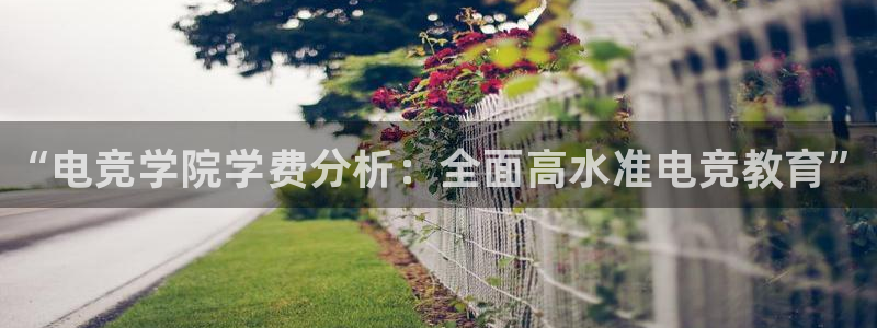完美电竞平台官网