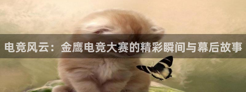 完美电竞平台官网网址