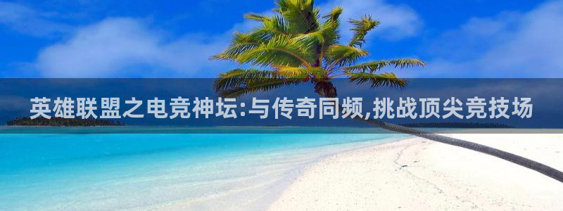 完美电竞查询