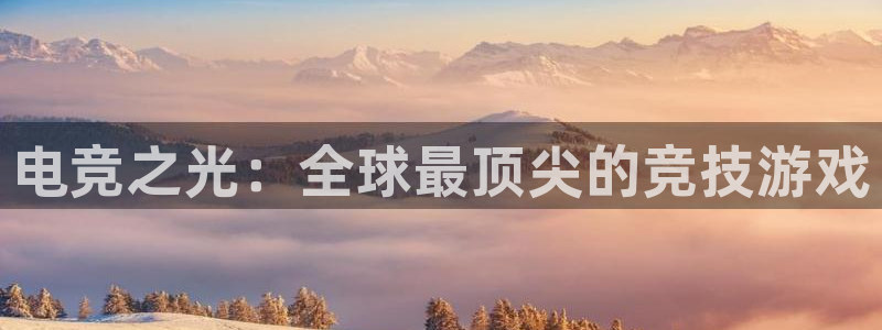 完美电竞|官网