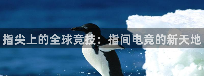 完美电竞联赛
