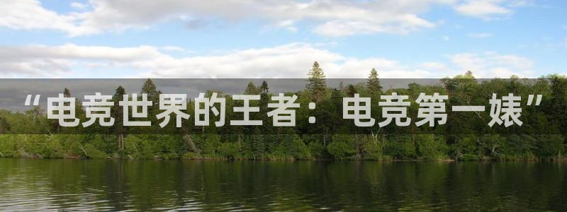 完美电竞平台官网网址