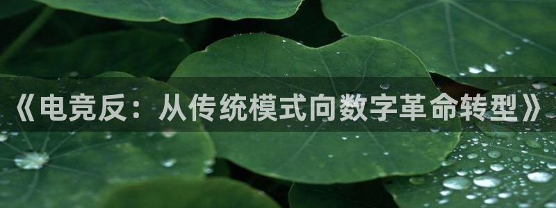完美电竞对战