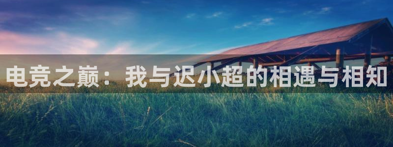 完美电竞cs