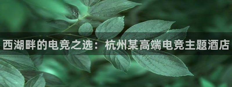 完美电竞平台官网