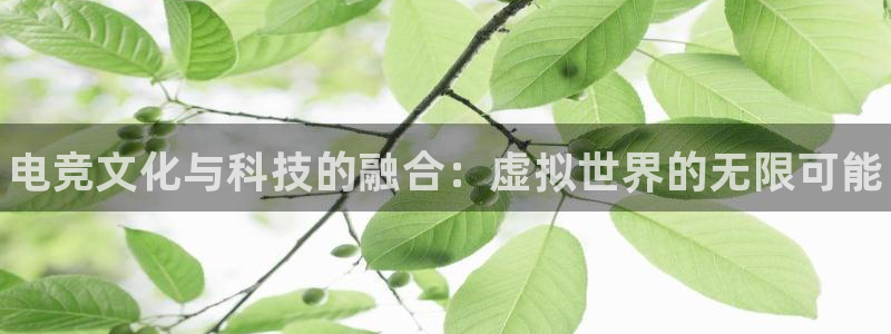 完美电竞世界平台下载
