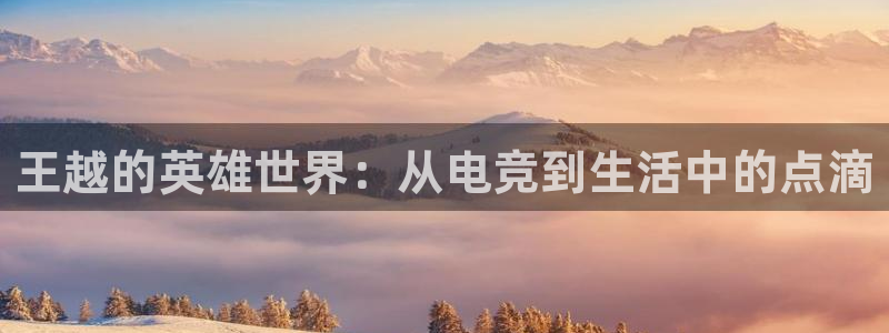 完美电竞大会员